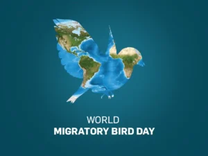 اليوم العالمي للطيور المهاجرة