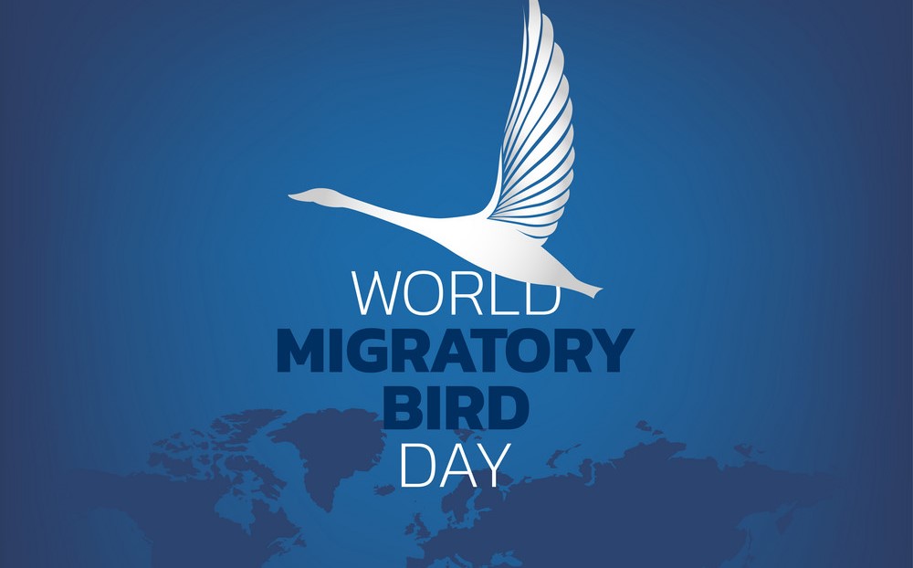 يوم الطيور المهاجرة العالمي